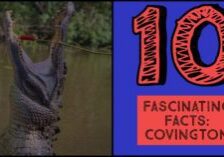 Facts about Covington LA