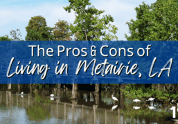 Footbridge at Lafreniere Park in Metairie, LA
