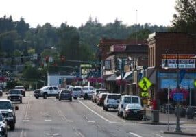 Bright, sunny day on a charming main street filled with people walking and visiting local shops, representing a thriving l...