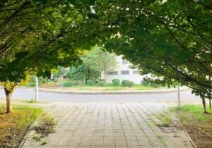 Clean, modern stone pathway leading to the front door of a beautiful, contemporary home, symbolizing a new path in real es...